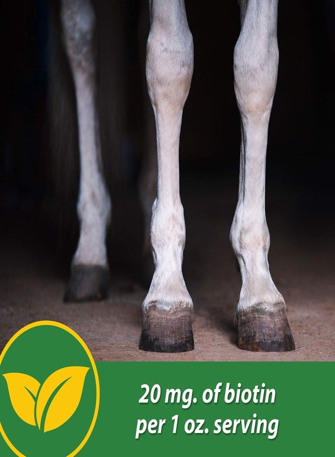 Farnam HB 15 Hoof Supplement, Supports healthy hoof growth 3 pound, 48 Day Supply - Image 4